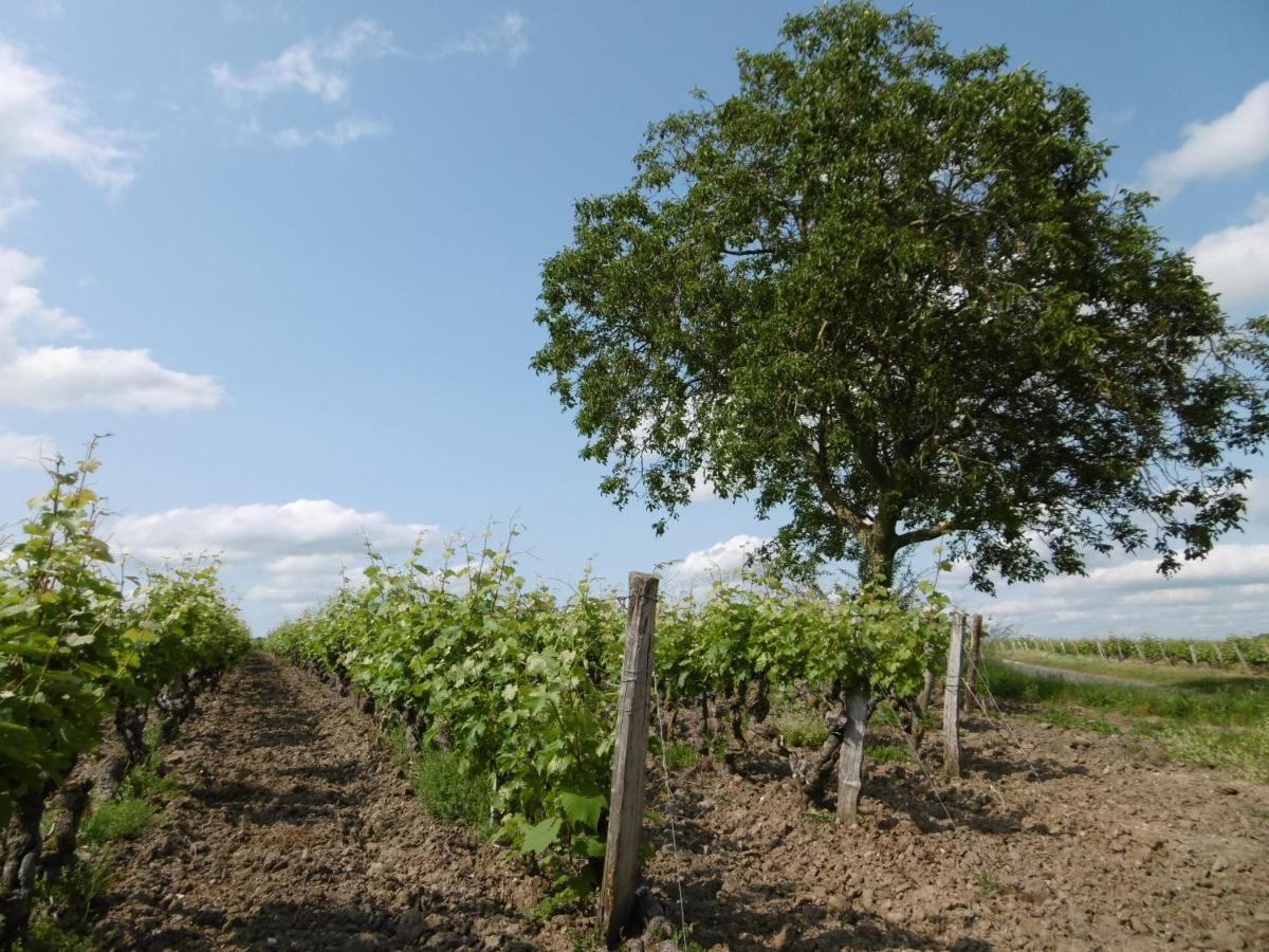 L'Etape Troglo Vouvray Exterior photo
